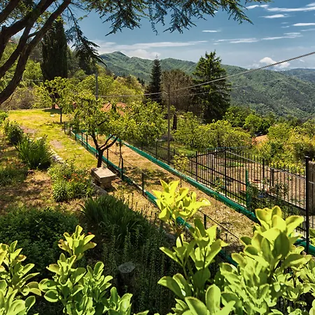 Oda ve Kahvaltı Oasi