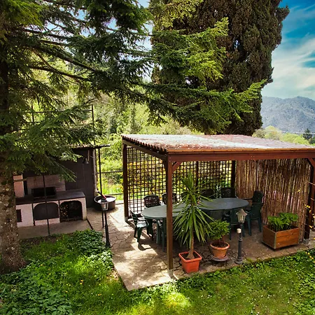 Oasi Oda ve Kahvaltı 2*