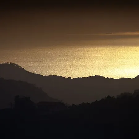 Oasi Oda ve Kahvaltı 2*