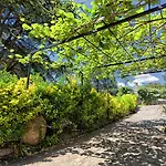 B&B Oasi