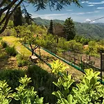 Oasi B&B
