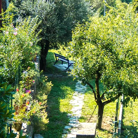 Oasi