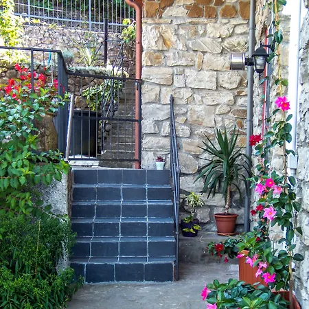 Oasi