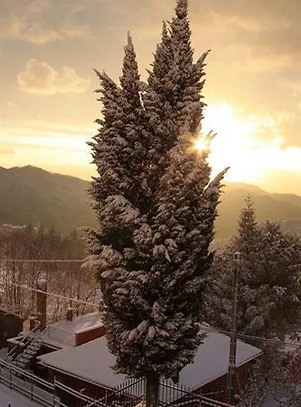 Bed and breakfast Oasi 2*