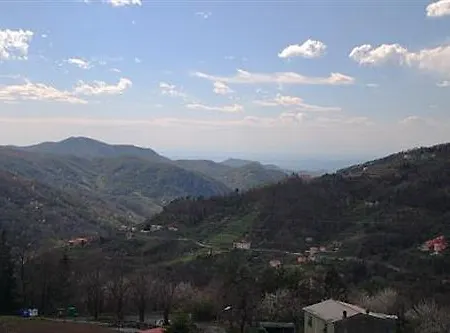 Oasi 2*