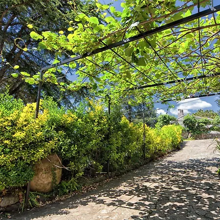 Bed & Breakfast Oasi 2*