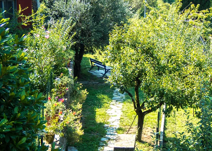 Oasi